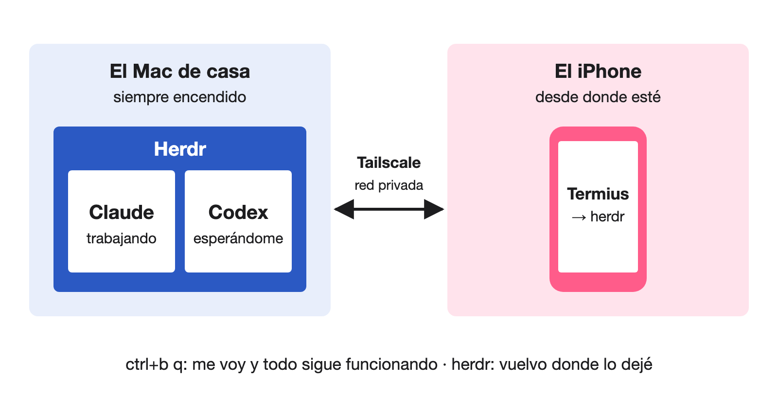 Esquema: en el Mac de casa, Herdr mantiene a Claude trabajando y a Codex esperando; desde el iPhone, con Termius y a través de Tailscale, entro en la misma sesión. ctrl+b q para irme, herdr para volver.